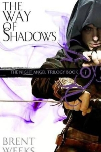 The Way of Shadows (Night Angel #1)