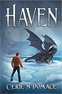 Haven (The Fae Queen's Court) by Ceril N Domace - Book Review